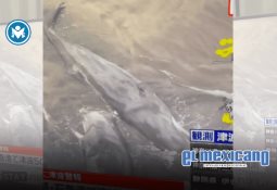 Volcán Kliuchevskói en Kamchatka entra en actividad tras sismo de Rusia
