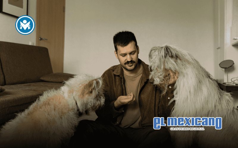 Perros y humanos: ¡una historia de amor de 15.000 años! Perros y humanos: ¡una historia de amor de 15.000 años!