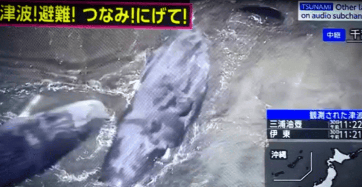 imagen-cuerpo imagen-cuerpo