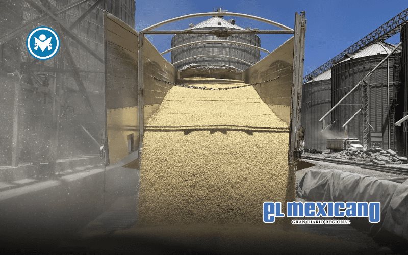 Alerta COUC por alza en importación de maíz Alerta COUC por alza en importación de maíz