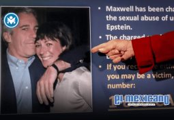 Ballena Minke muere tras chocar con un bote en aguas poco profundas