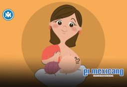 Balean e incendian casa de alcaldesa de Queréndaro en ataque criminal armado