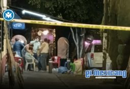 Avalan proyecto ecoturístico de Diego Dreyfus en Playa del Carmen con uso de palos para ahuyentar fauna