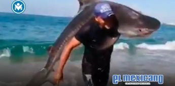 Hombre captura tiburón tigre con las manos en playa de Michoacán