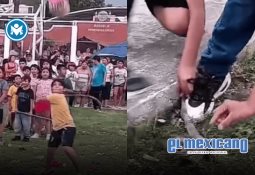 Boehringer Ingelheim impulsa la salud felina en el Día Mundial del Gato Boehringer Ingelheim impulsa la salud felina en el Día Mundial del Gato