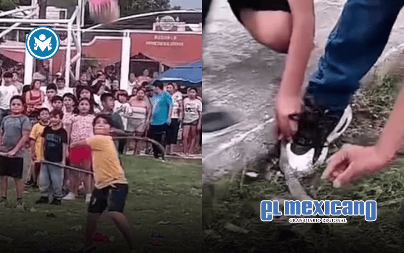 Indignación por festejos en Calkiní por piñata rellena de animales vivos Indignación por festejos en Calkiní por piñata rellena de animales vivos