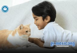 Exigen campesinos construir un presupuesto 2026 justo para el campo Exigen campesinos construir un presupuesto 2026 justo para el campo