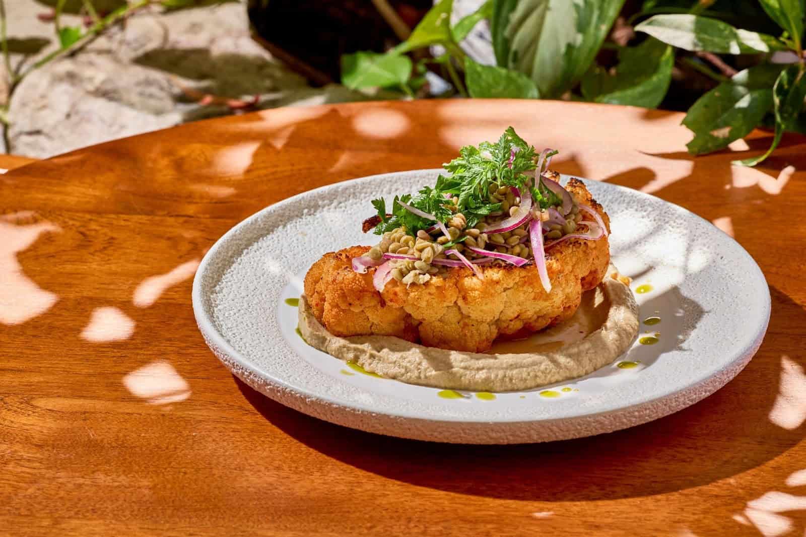 imagen-cuerpo imagen-cuerpo