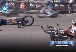 Los Xoloitzcuintles se preparan en Mazatlán Los Xoloitzcuintles se preparan en Mazatlán