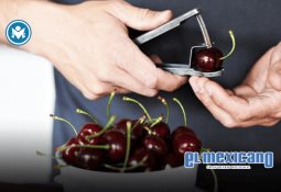 Moctezuma transforma residuos en energ&iacute;a limpia con nueva instalaci&oacute;n en su planta de Morelos