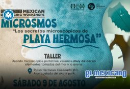 Exitoso registro de Pensi&oacute;n Mujeres Bienestar en Baja California: Ruiz Uribe