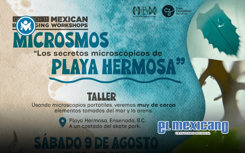 Descubre los secretos microscópicos de Playa Hermosa en taller gratuito