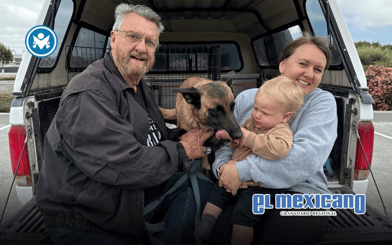 Hombre recibe m&aacute;s de 500 picaduras de abejas al intentar salvar a su perro en San Felipe