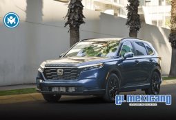 M&oacute;nica Gabriela "N" detenida por presunto fraude con criptomonedas