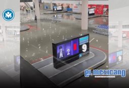 &iquest;Qu&eacute; requisitos debe cumplir un forense para ser considerado experto?