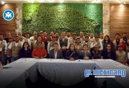 Advierten sobre consecuencias legales por talar árboles urbanos sin autorización