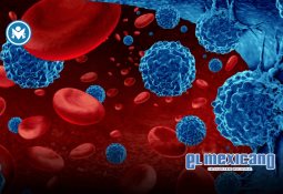 Desinflámate con sabor: lo que comes importa Desinflámate con sabor: lo que comes importa