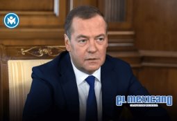 Peras Bartlett de California: la fruta gourmet que conquista con sabor, textura y versatilidad