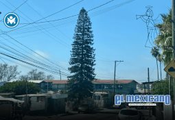 La nariz tapada y un hilo de sangre: Jaqueline tenía cáncer