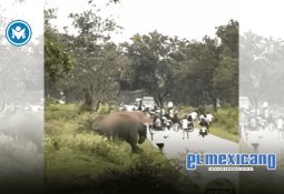 Xerox anuncia la transición de su Presidente y COO Xerox anuncia la transición de su Presidente y COO