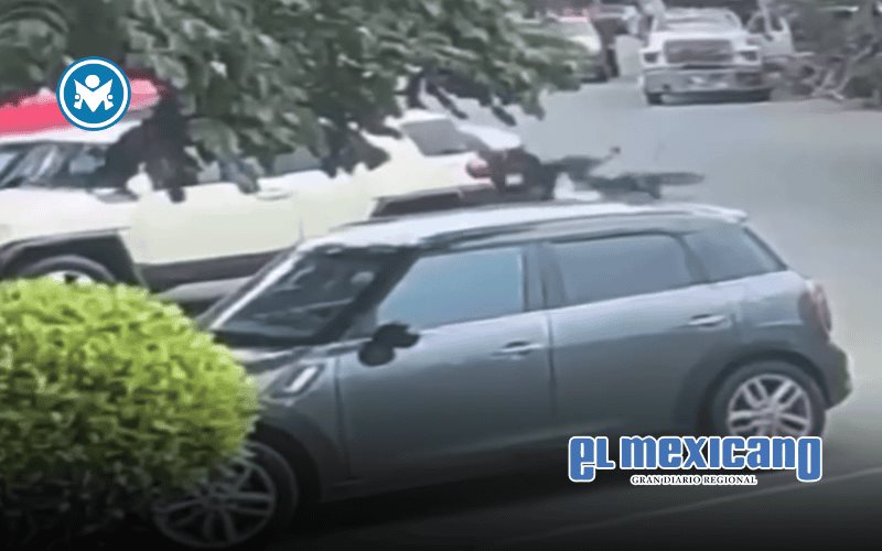 Hermana de Victor Lagunas atropella a repartidor de tortillas Hermana de Victor Lagunas atropella a repartidor de tortillas