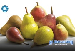 Xerox anuncia la transición de su Presidente y COO Xerox anuncia la transición de su Presidente y COO