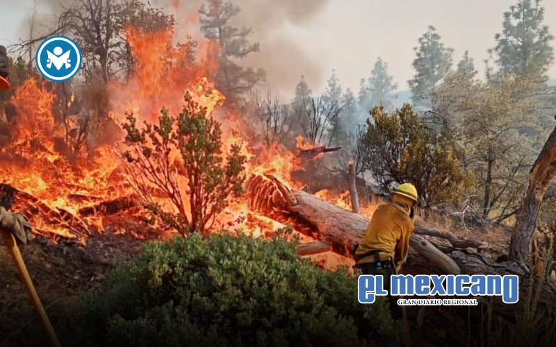 Informa Protección Civil Estatal avance del incendio forestal San Pedro Mártir Informa Protección Civil Estatal avance del incendio forestal San Pedro Mártir