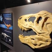 Dinosaurios Animatronics: Un Mundo Nuevo maravilla a chicos y grandes