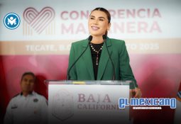 Colectivo CESODI consigue hist&oacute;rica restituci&oacute;n internacional; April vuelve con su madre tras 70 d&iacute;as de separaci&oacute;n