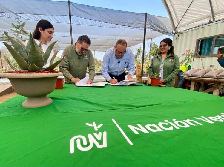 imagen-cuerpo imagen-cuerpo