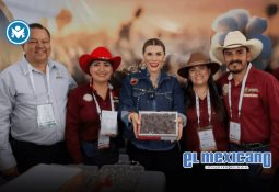 Empresa responsable del socavón en Tijuana cubrirá daños y multas