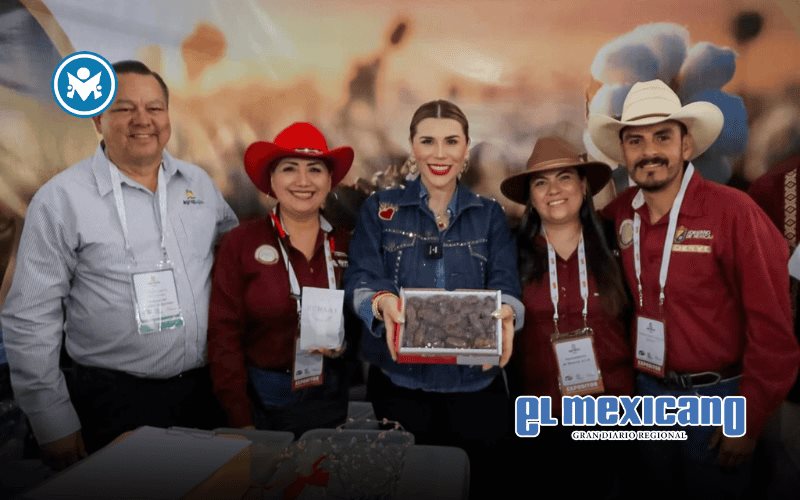 BC concentra el 50% de los recursos generados en México por la venta de dátil: Gobernadora Marina del Pilar