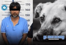 Alertan sobre falso mensaje donde el Gobierno de México entregue un bono a mujeres Alertan sobre falso mensaje donde el Gobierno de México entregue un bono a mujeres