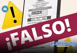 Balacera en fiesta patronal de la colonia Doctores deja a una mujer sin vida Balacera en fiesta patronal de la colonia Doctores deja a una mujer sin vida