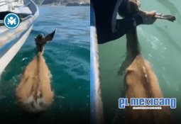 Lord Metrobús: joven se vuelve viral por ocupar dos asientos en CDMX