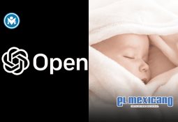 Maíz en riesgo por producción récord en EE.UU. Maíz en riesgo por producción récord en EE.UU.