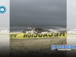 Ballena quedó varada sin vida en Playas de Tijuana moviliza a autoridades costeras