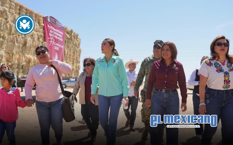 Impulsa Marina del Pilar desarrollo turístico y productivo en el sur profundo de BC Impulsa Marina del Pilar desarrollo turístico y productivo en el sur profundo de BC