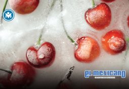 Maíz en riesgo por producción récord en EE.UU. Maíz en riesgo por producción récord en EE.UU.