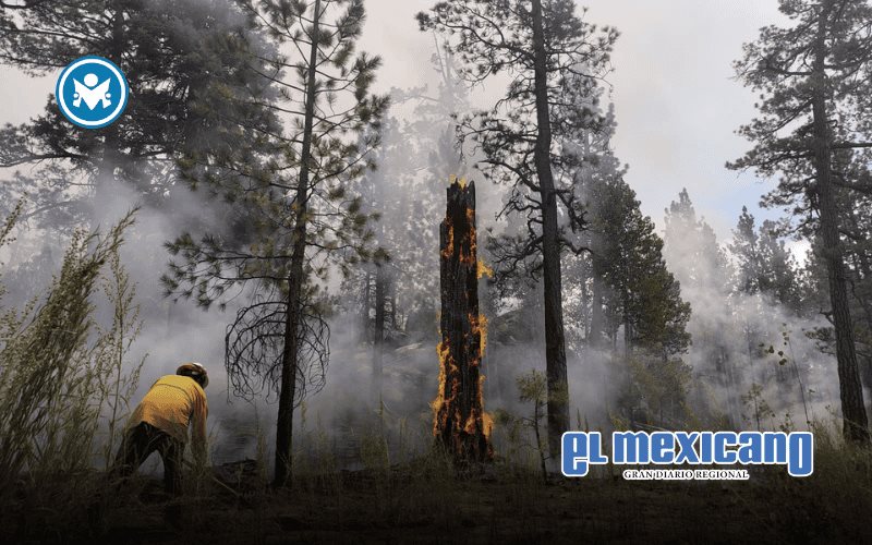 Informa Protección Civil Estatal sobre labores de control y liquidación del incendio en San Pedro Mártir