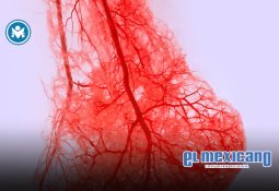 Corte de EU concede más tiempo a García Luna para apelar Corte de EU concede más tiempo a García Luna para apelar