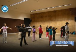 Grúa cae de la obra del viaducto elevado de Tijuana Grúa cae de la obra del viaducto elevado de Tijuana