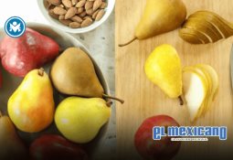 ¿Será obligatoria la CURP biométrica? Sheinbaum aclara dudas