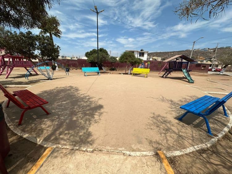 imagen-cuerpo imagen-cuerpo