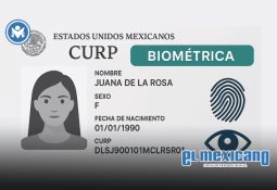 Capacítate para enfrentar la demanda creciente de profesionales bilingües