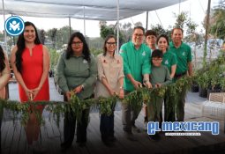 CONCANACO lanza guía de marketplaces para impulsar la digitalización de negocios familiares CONCANACO lanza guía de marketplaces para impulsar la digitalización de negocios familiares