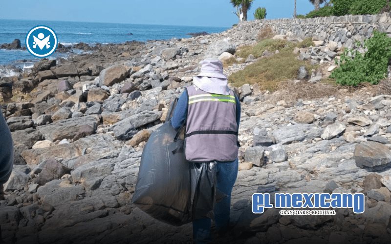 En verano se han recolectado 130 toneladas de basura en playas: CAM