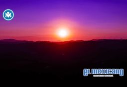 Impiden aranceles e incertidumbre jurídica crecimiento de la industria de Baja California Impiden aranceles e incertidumbre jurídica crecimiento de la industria de Baja California