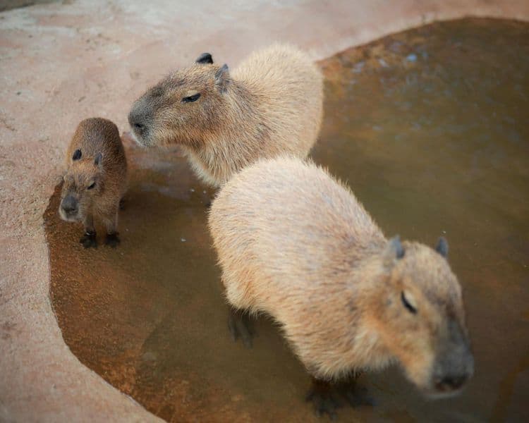 imagen-cuerpo imagen-cuerpo