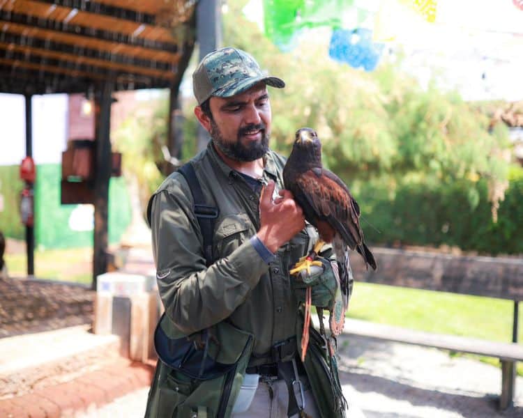 imagen-cuerpo imagen-cuerpo